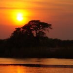 imagen voluntariado internacional en africa